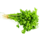 Coriander Leaf