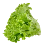lettuce-pata
